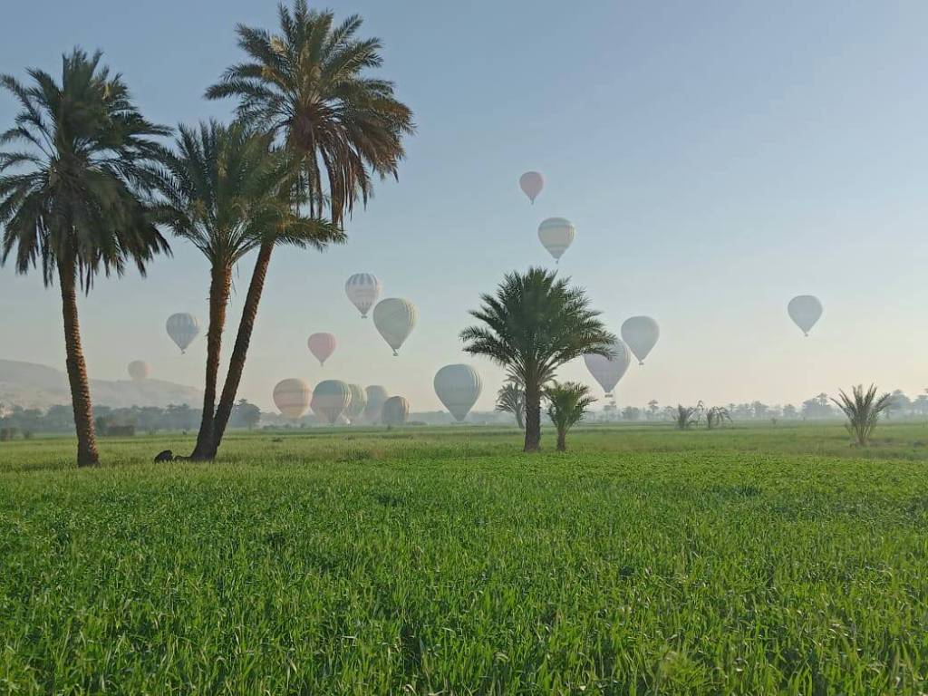 البالونات الطائرة تحلق وسط الزراعات فى غرب محافظة الأقصر