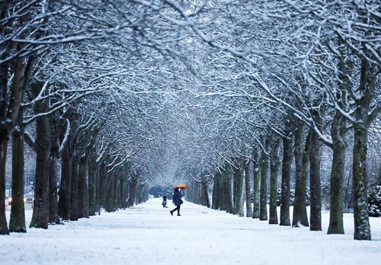 امرأة تمشي تحت الأشجار المغطاة بالثلوج فى اسبانيا
