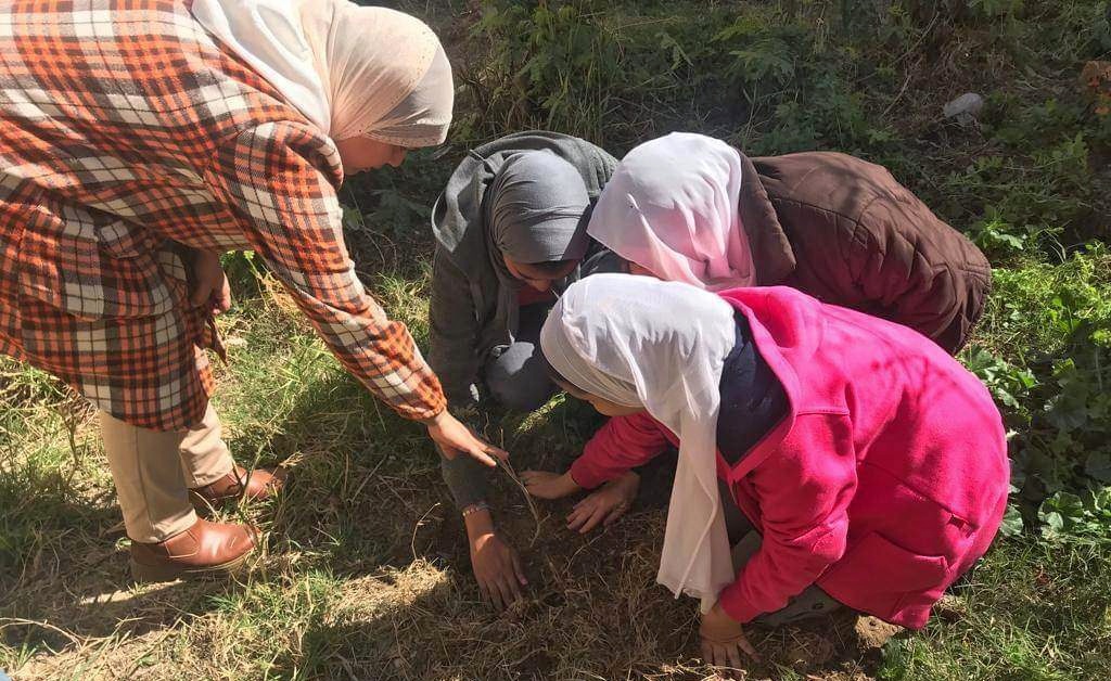 طالبات الإسلامية يزرعون الأشجار