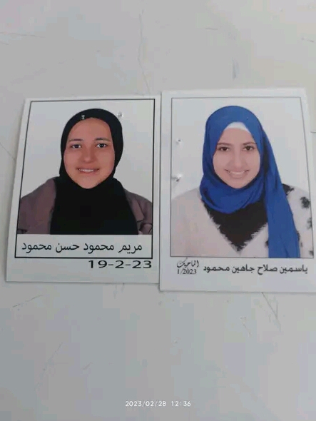 مصرع طالبتين فى حادث قطار مصرع طالبتين فى حادث قطار