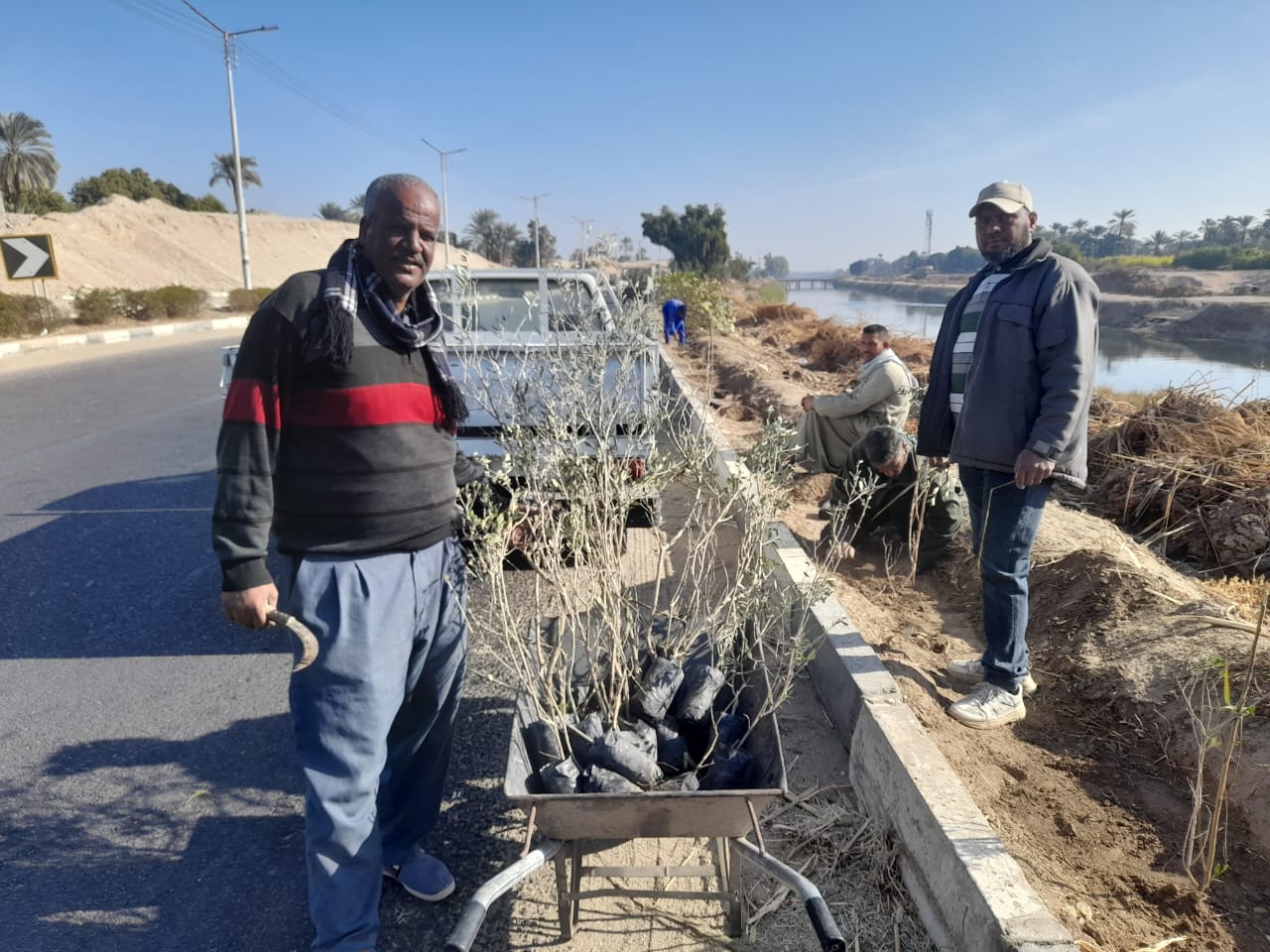 مدينة الطود تبدأ أعمال زراعة 2859 شجرة مثمرة