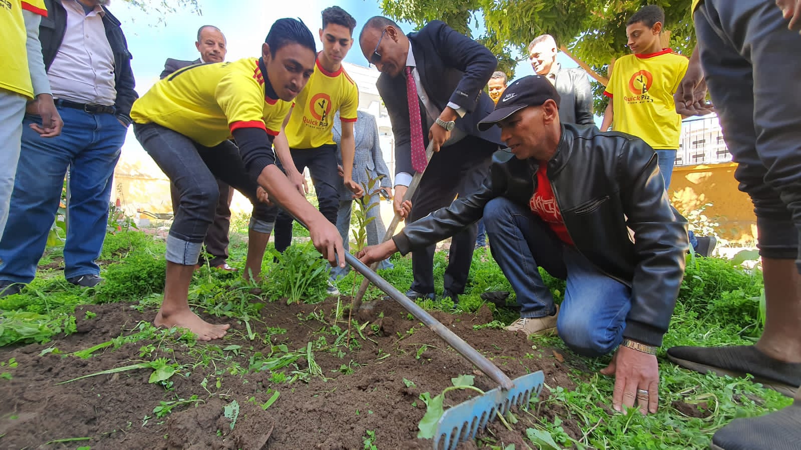 زراعة الأشجار ضمن مبادرة 100 مليون شجرة حول مصر
