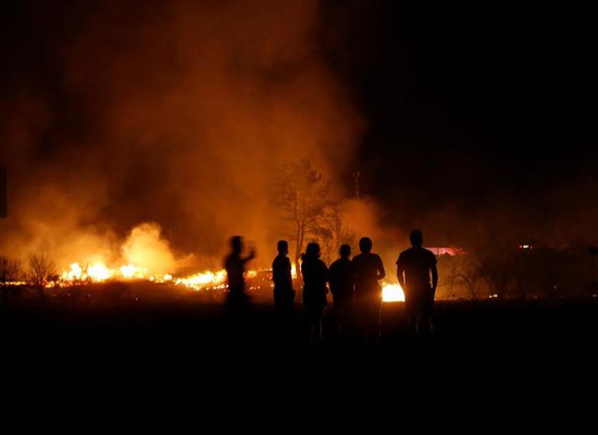 حرائق الغابات فى تشيلي
