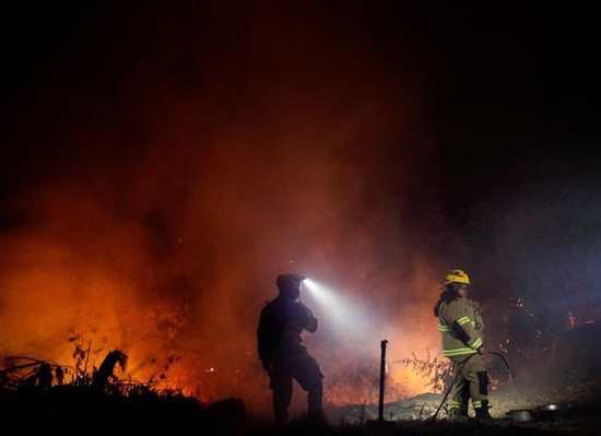 رجال الإنقاذ خلال تفقد حرائق الغابات فى تشيلي