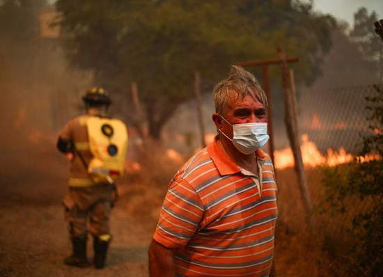 حرائق الغابات فى تشيلي (6)