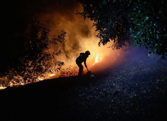 حرائق الغابات فى تشيلي (5)