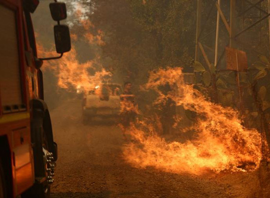حرائق الغابات فى تشيلي (9)