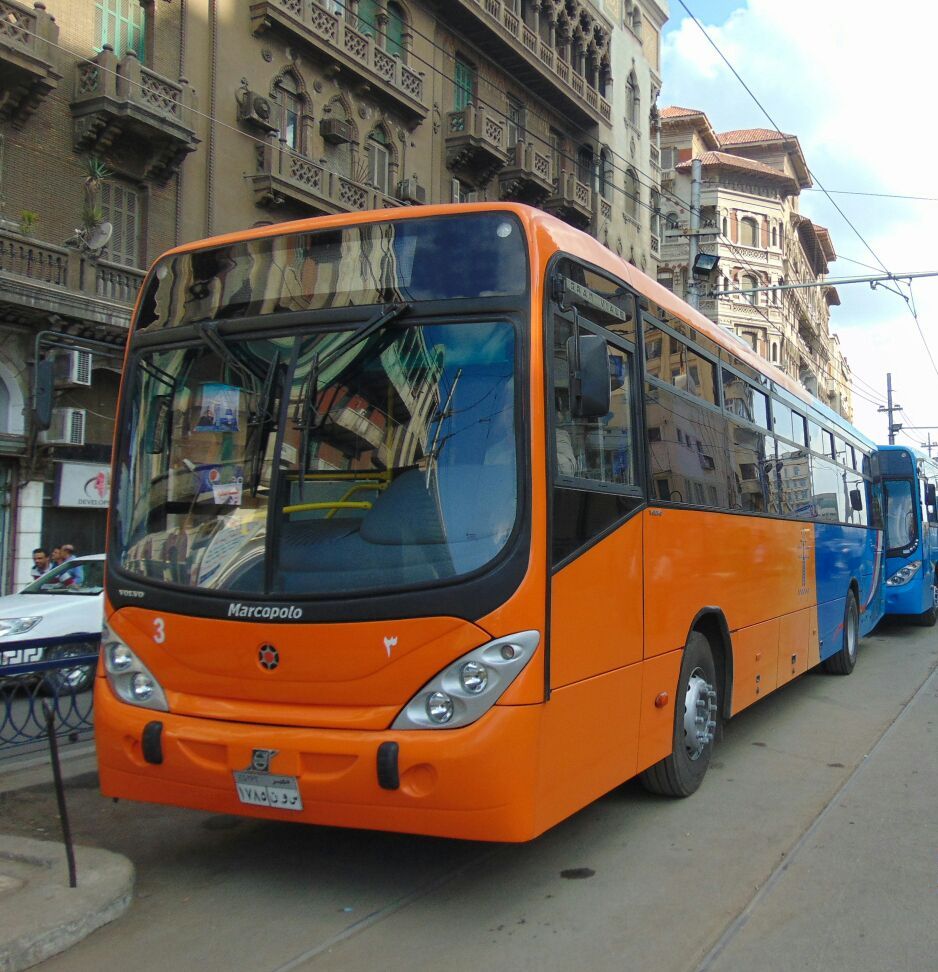 اسطول النقل العام بالاسكندرية (4)