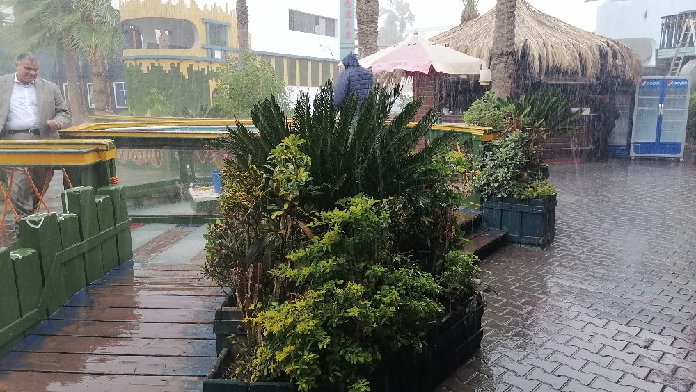 أمطار اليوم ببورسعيد
