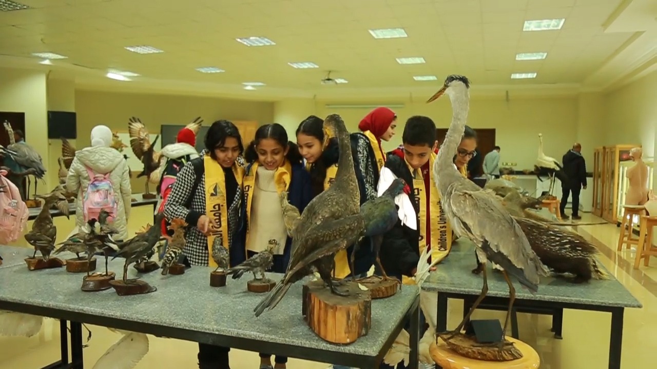متحف كلية العلوم بحامعة كفر الشيخ