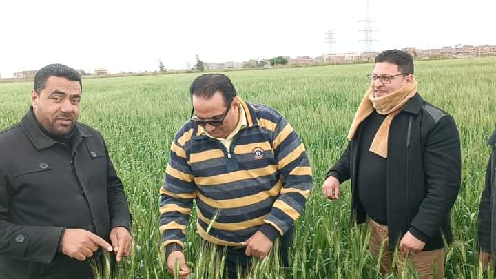 جانب من زراعة الأراضى (3)