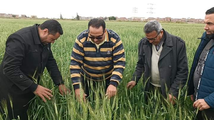 جانب من زراعة الأراضى (2)