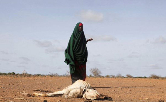 موجة جفاف تضرب الصومال (7)
