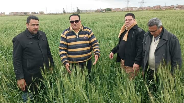 جانب من زراعة الأراضى (4)