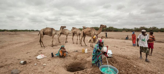 موجة جفاف تضرب الصومال (2)