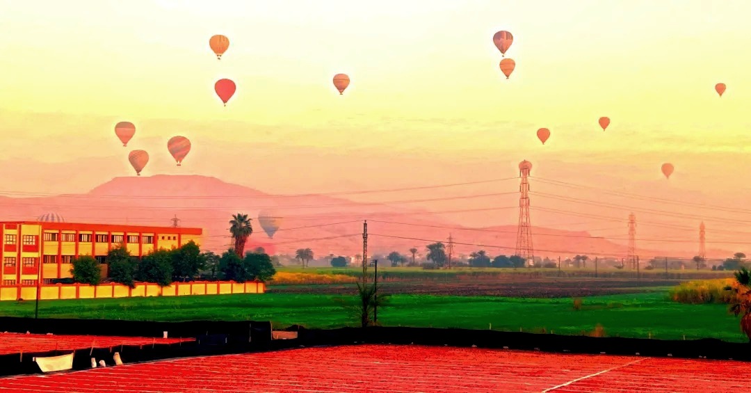 صورة اليوم.. البالونات الطائرة تداعب محصول الطماطم المجففة فى البر الغربى