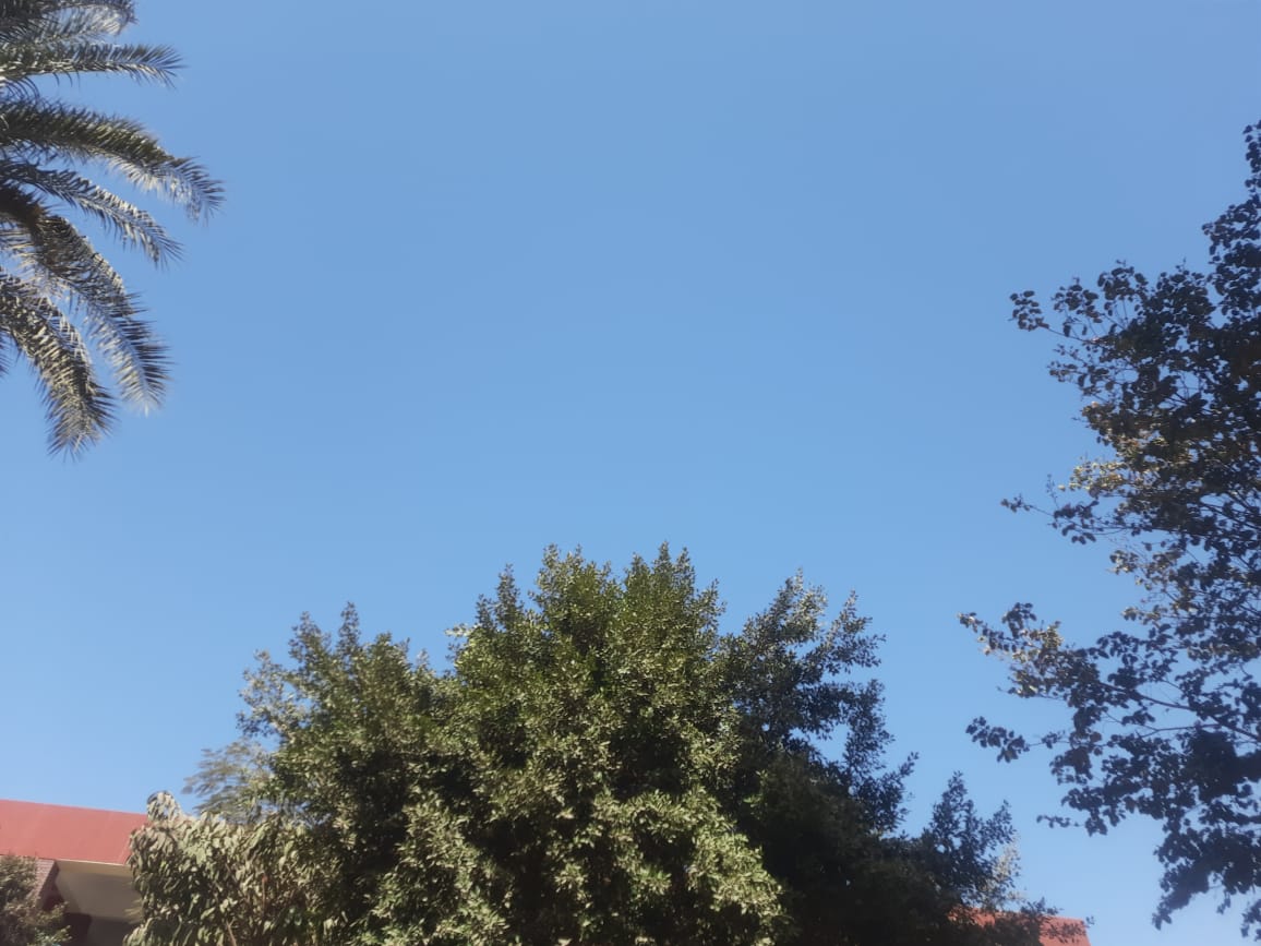 شمس ساطعة في سوهاج