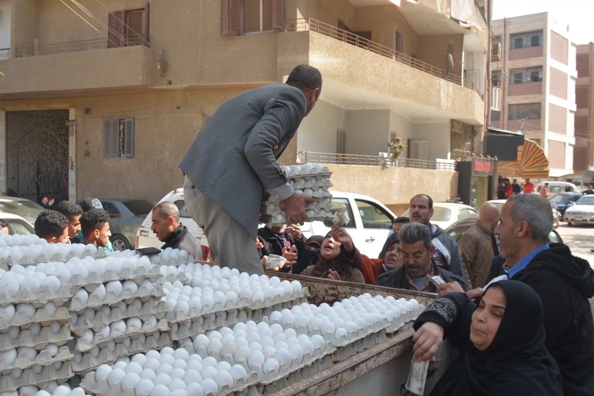جانب من الإقبال علي شراء البيض