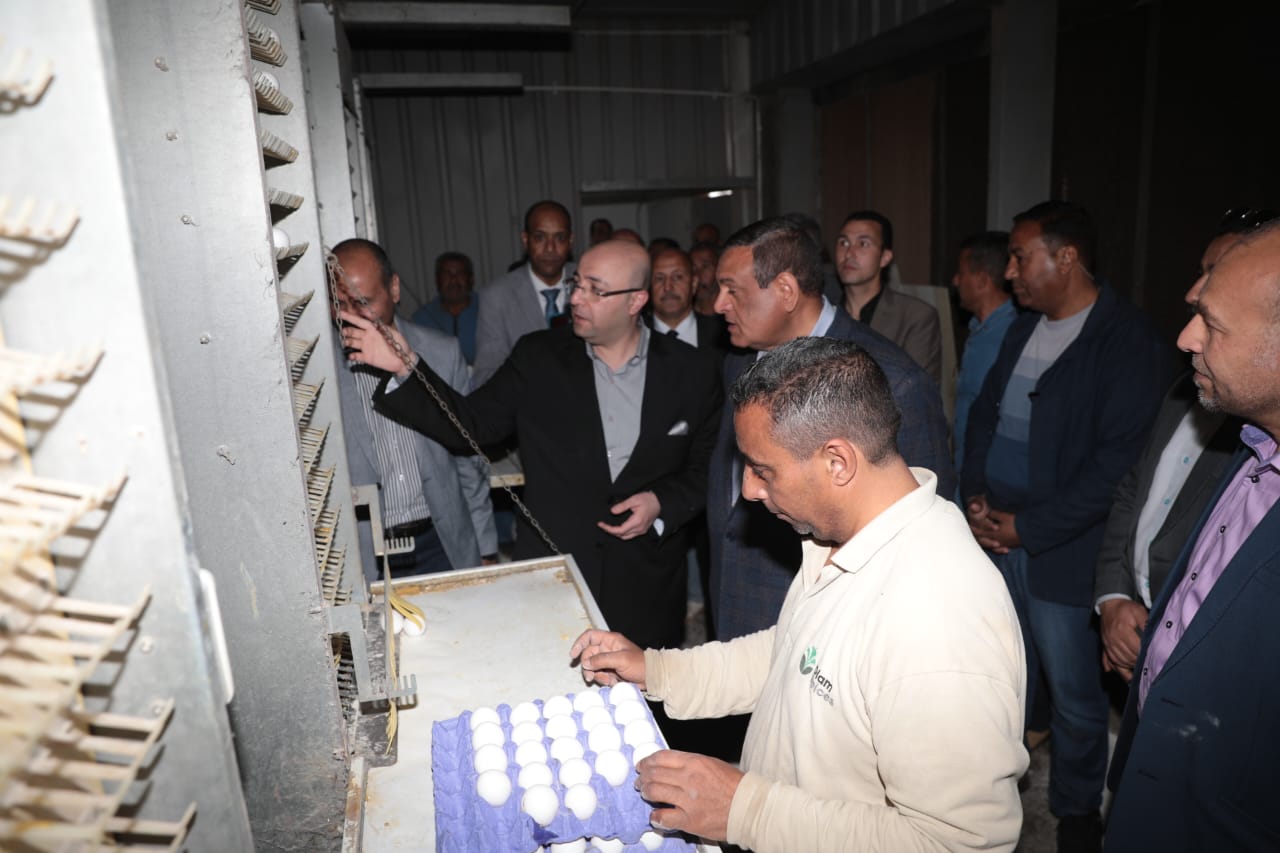 الجولة التفقدية لمنظومة العمل بمشروعات الدواجن بشرق النيل (6)