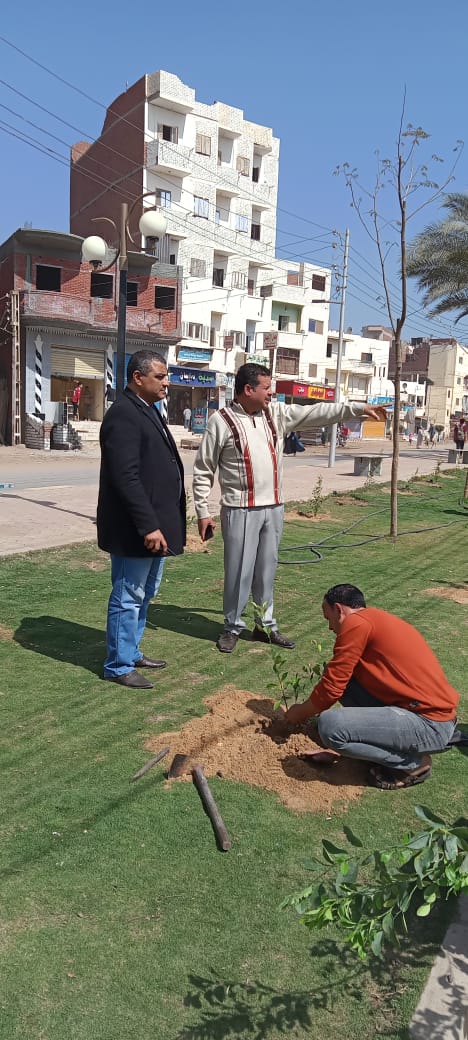المبادرة الرئاسية 100 مليون شجرة بأشمون (3)