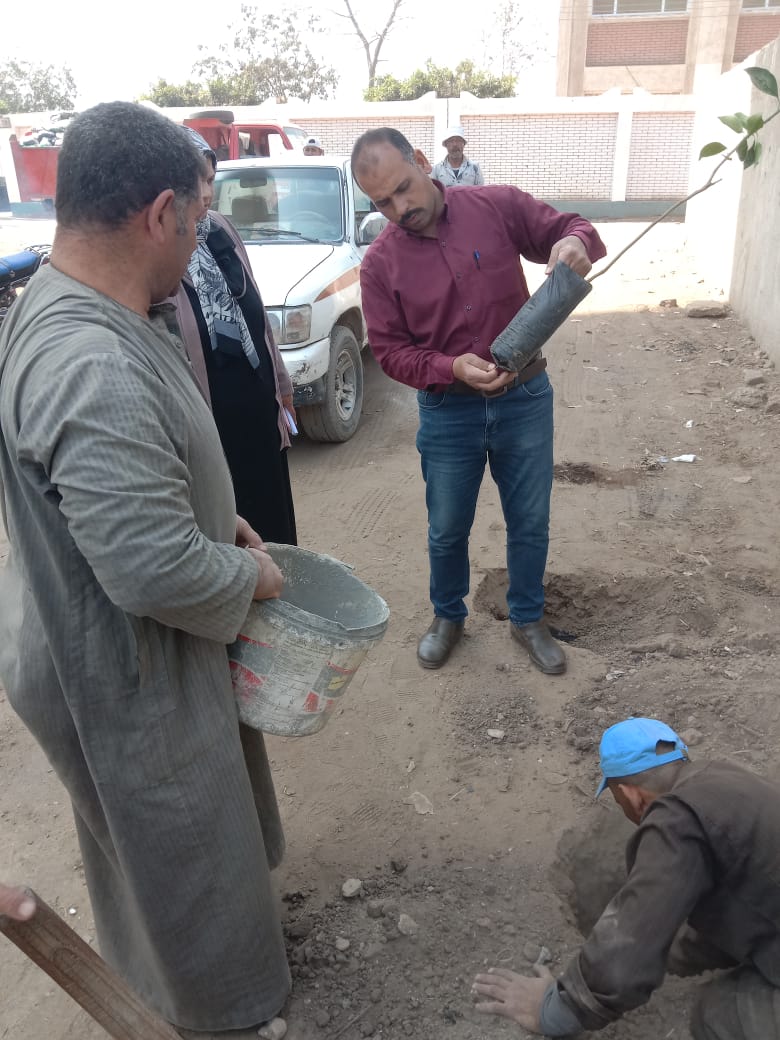 المبادرة الرئاسية 100 مليون شجرة بأشمون (2)