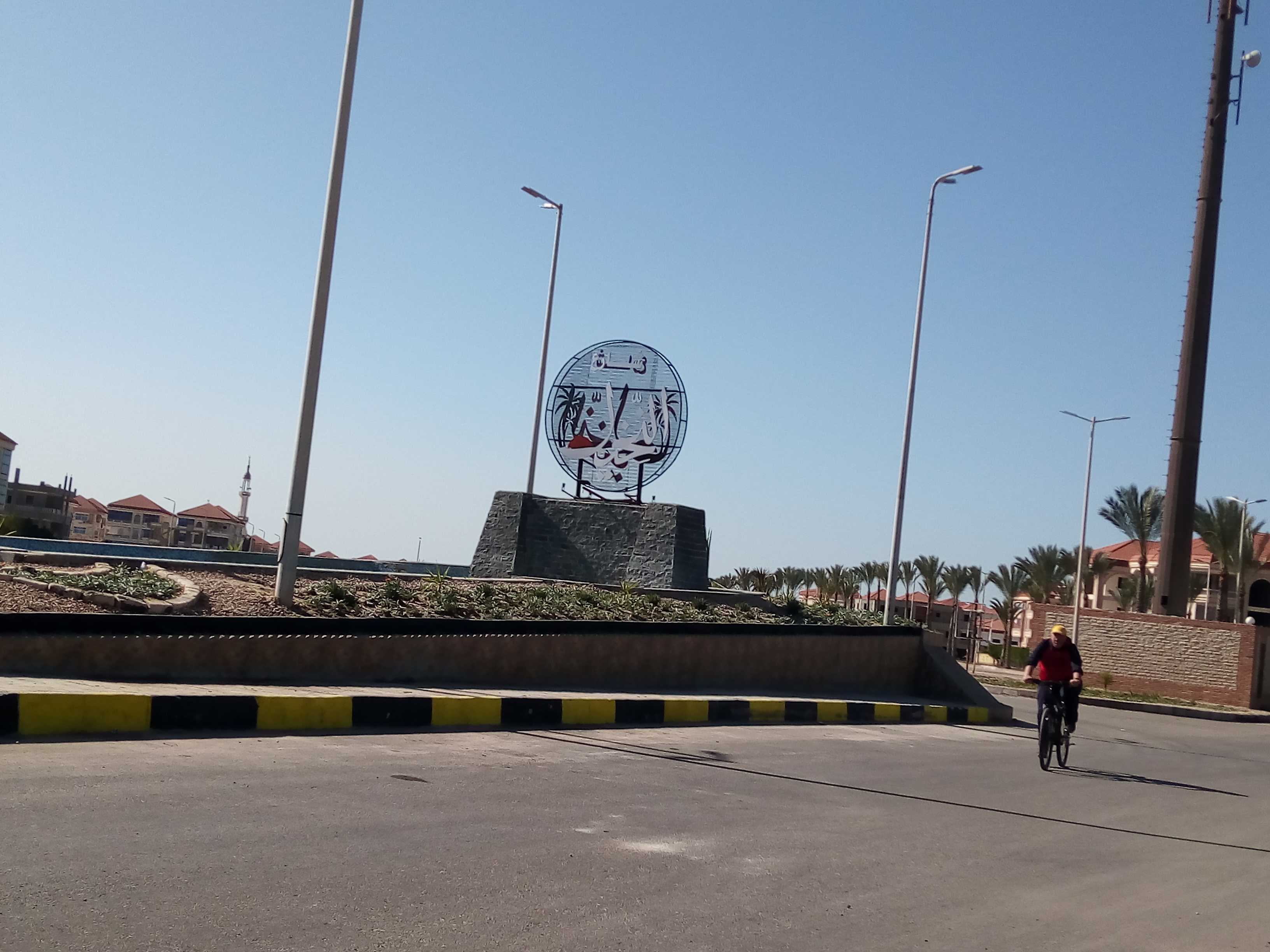 شارع النخيل