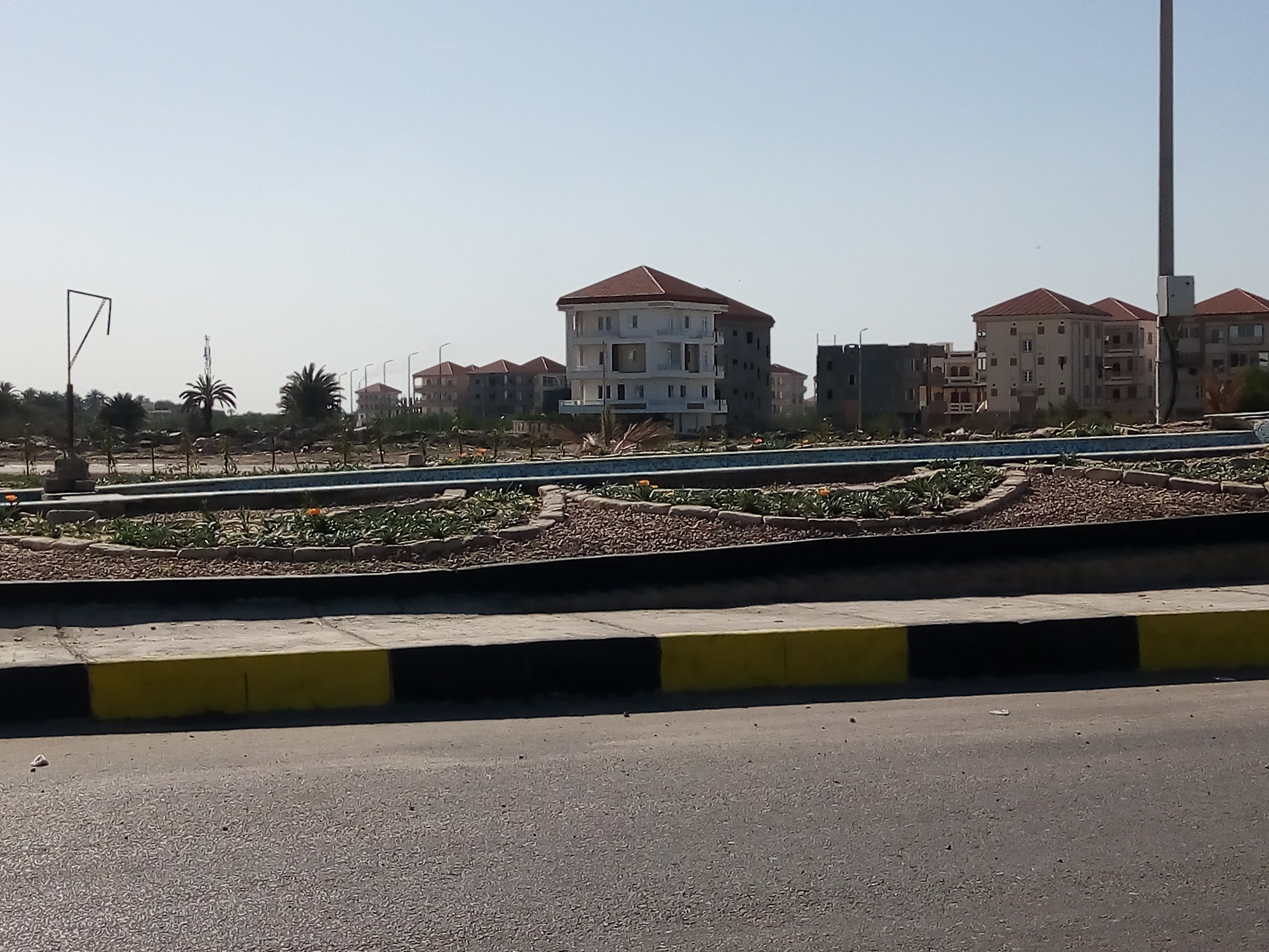 تطوير شارع النخيل