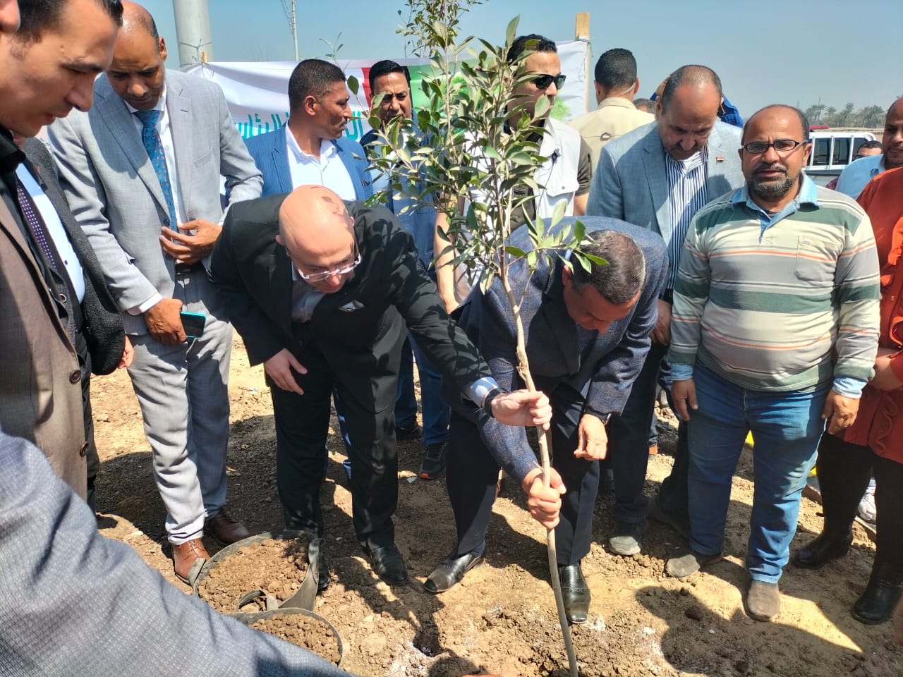 وزير التنمية المحلية ومحافظ بني سويف يتفقدان أعمال المبادرة الرئاسية للتشجير 100 مليون شجرة (4)