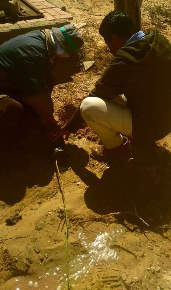 زراعة أشجار المبادرة