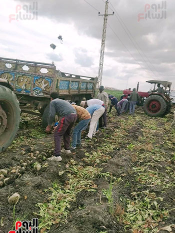 جانب-من-الحصاد