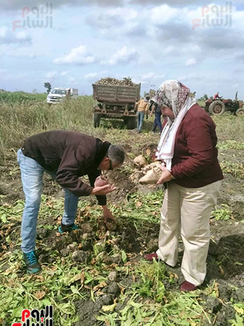 التأكد-من-المحصول
