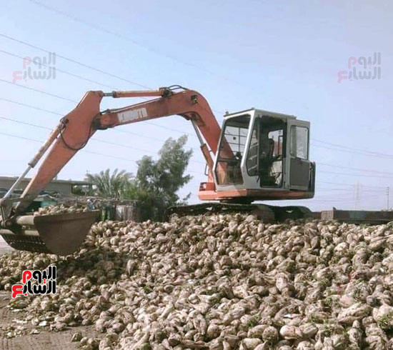 تحميل-البنجر