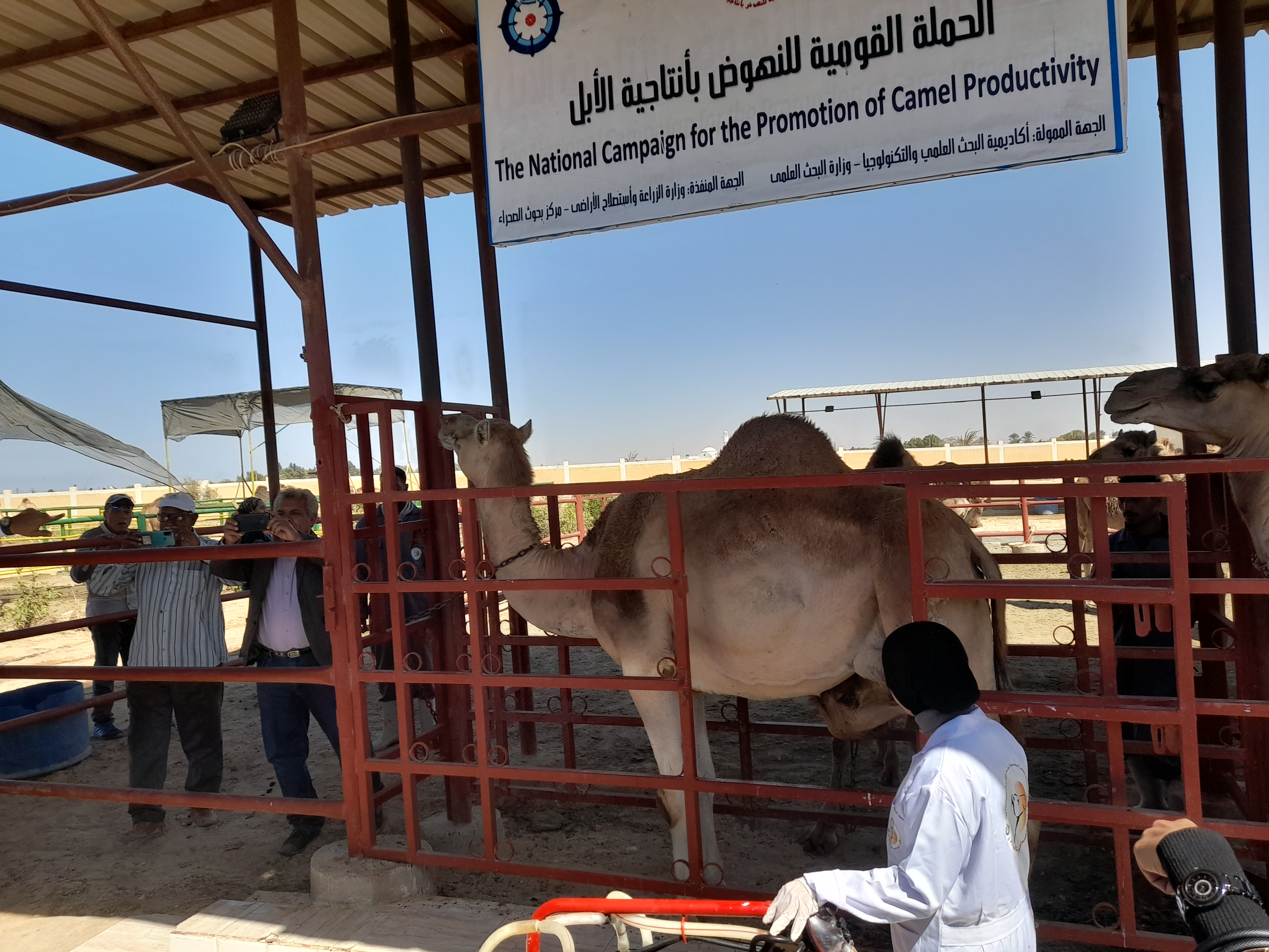 محطة البحوث الصحراء برأس سدر