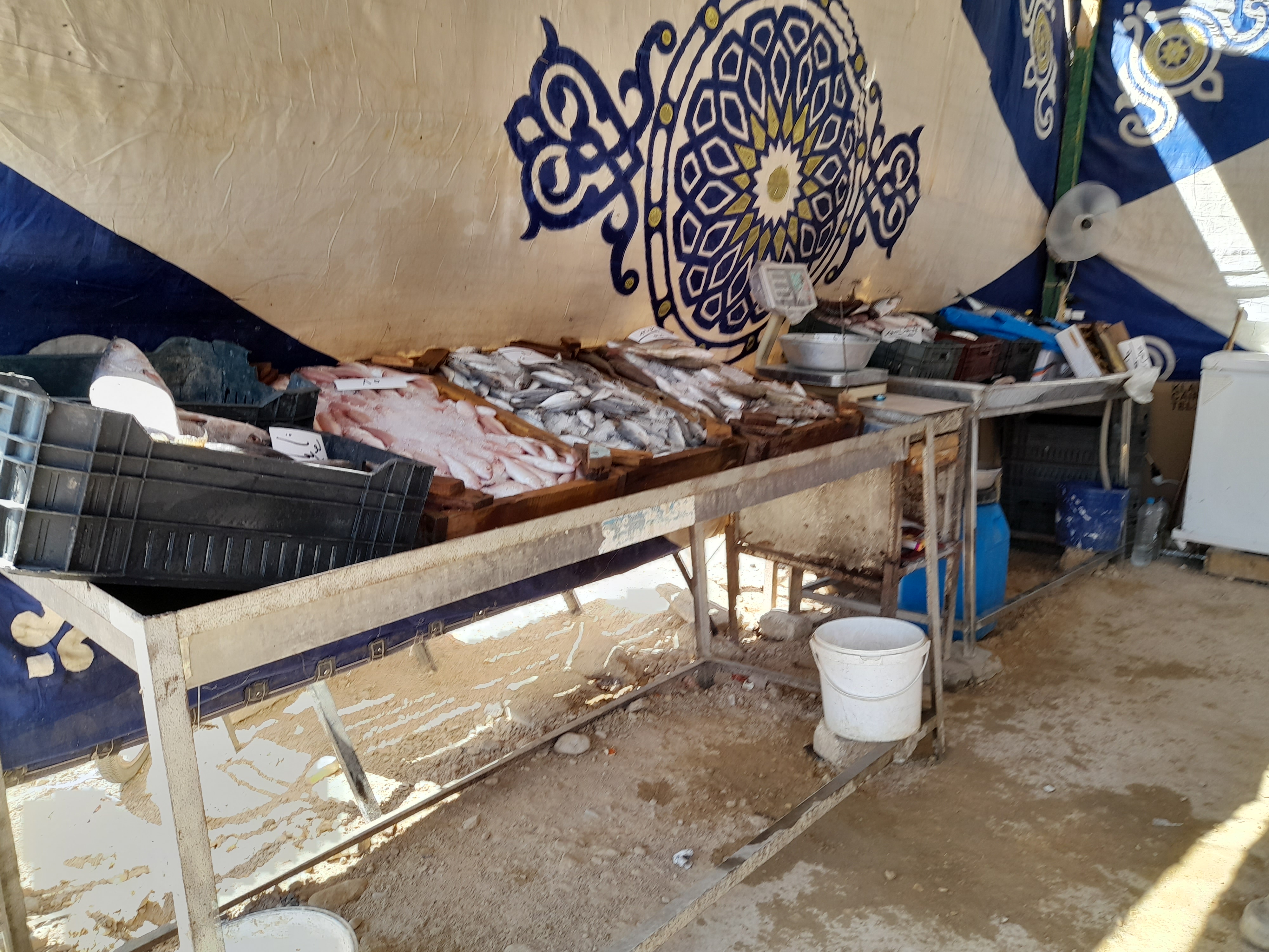 جانب من افتتاح محافظ جنوب سيناء لمعرض أهلا رمضان (4)