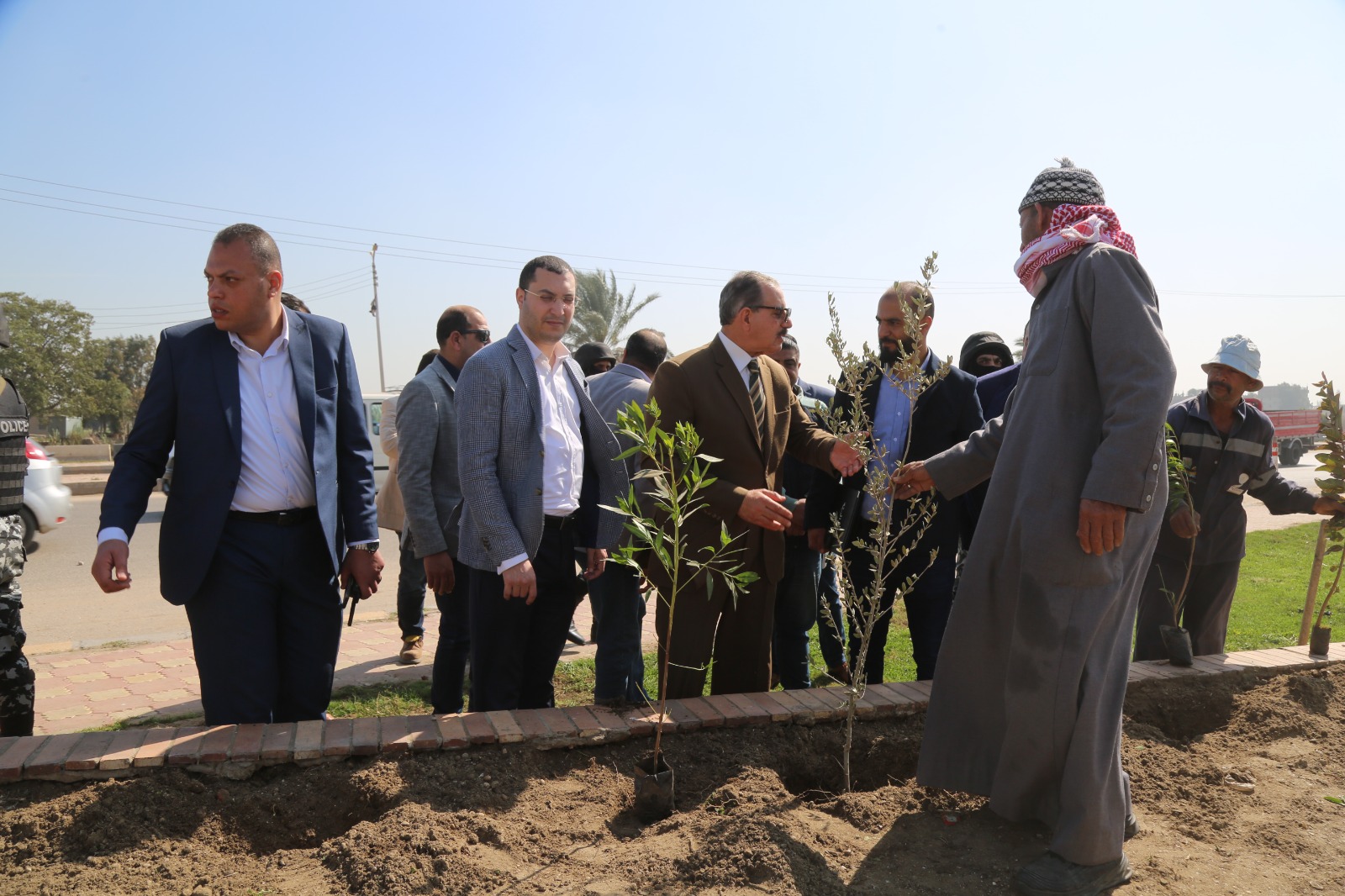 محافظ كفر الشيخ يوجه بزراعة الاشجار بالميادين