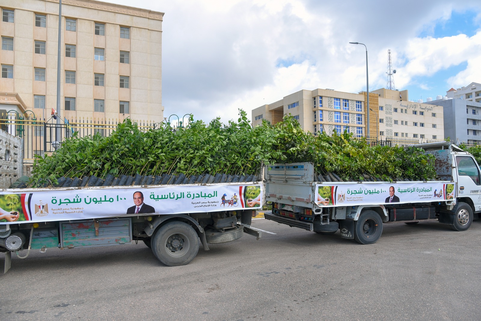 الاسكندرية تتسلم الأشجار