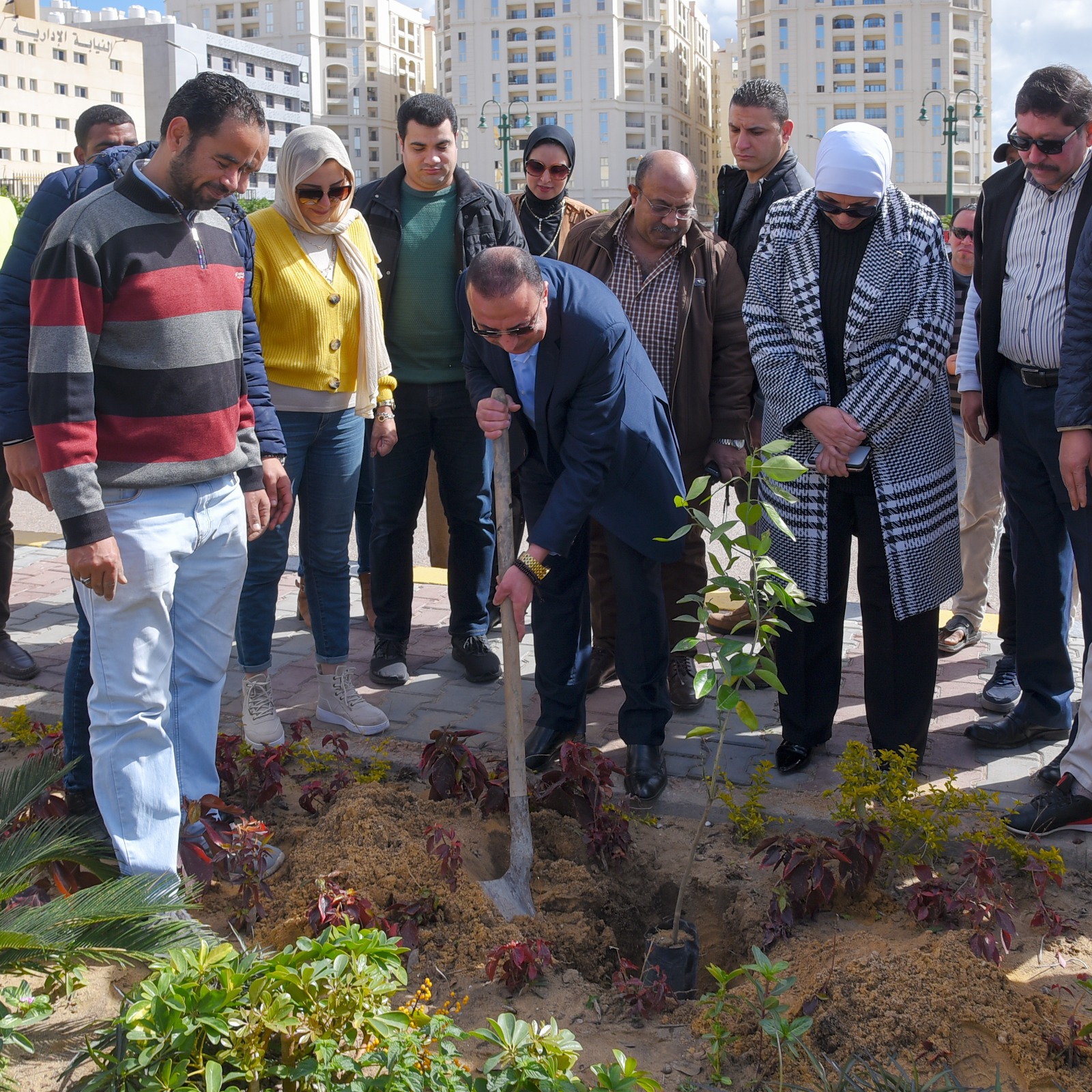 محافظ الإسكندرية يزرع شجرة