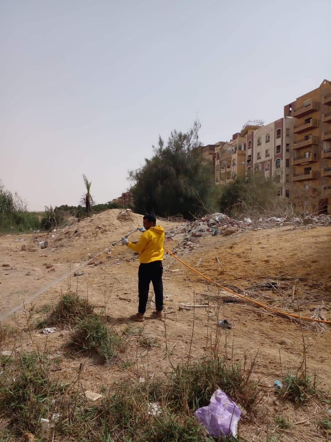 مكافحة القوارض والحشرات بمختلف المناطق والأحياء  (3)