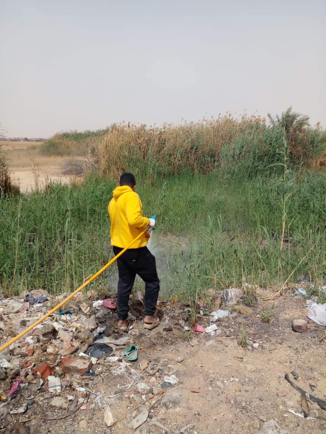 مكافحة القوارض والحشرات بمختلف المناطق والأحياء  (1)