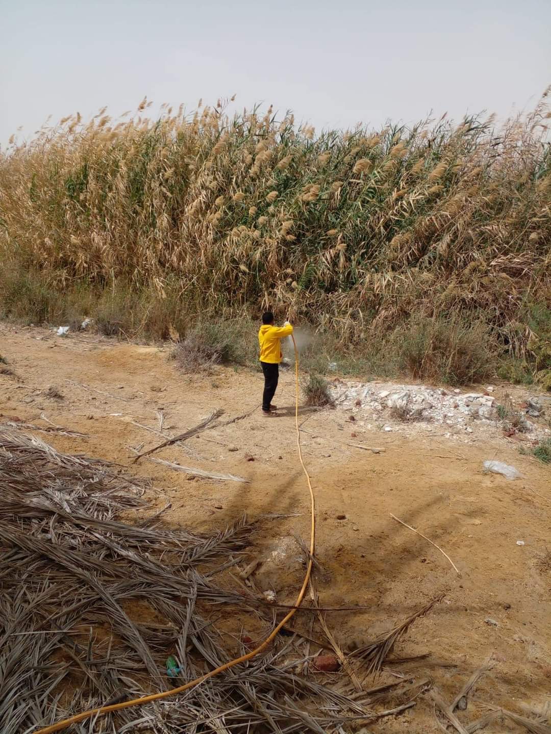 مكافحة القوارض والحشرات بمختلف المناطق والأحياء  (2)