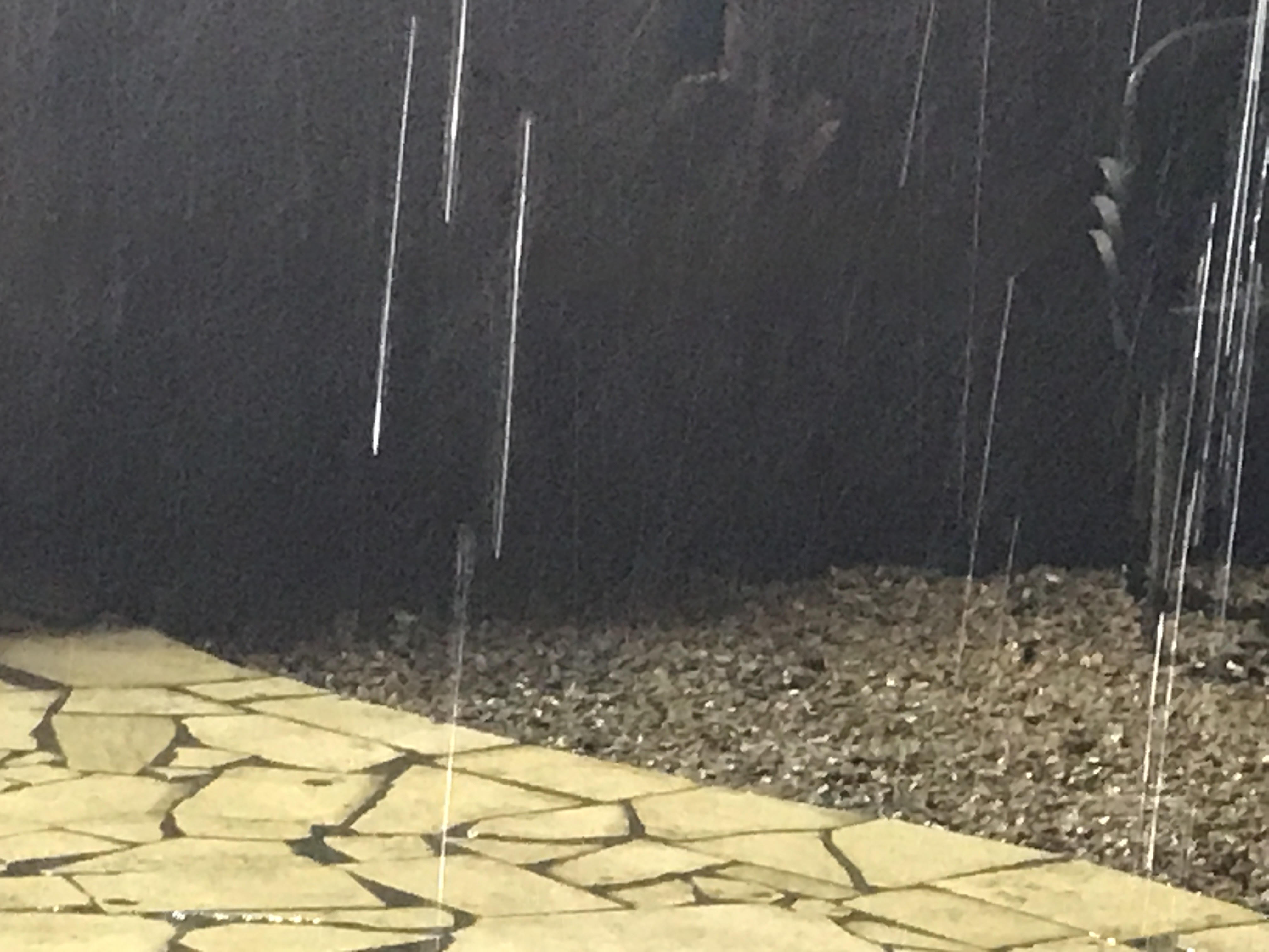 هطول أمطار غزيرة على مدينة العريش (1)