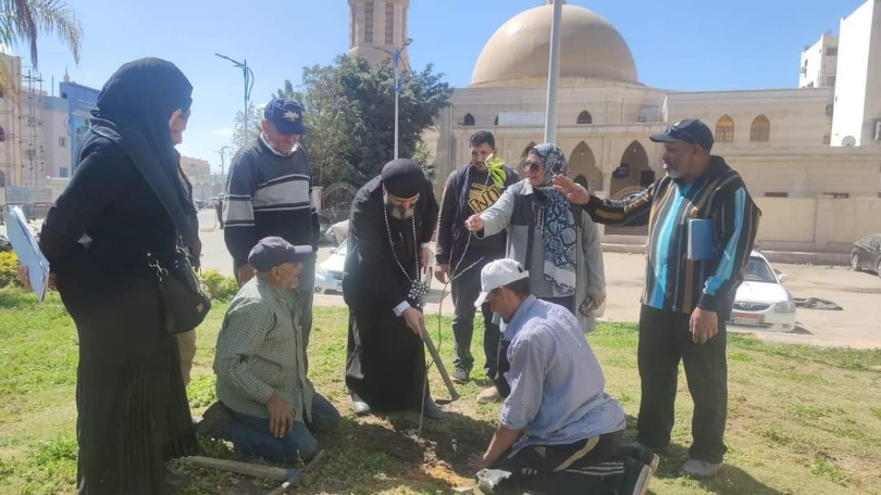 زراعة الأشجار ببورسعيد