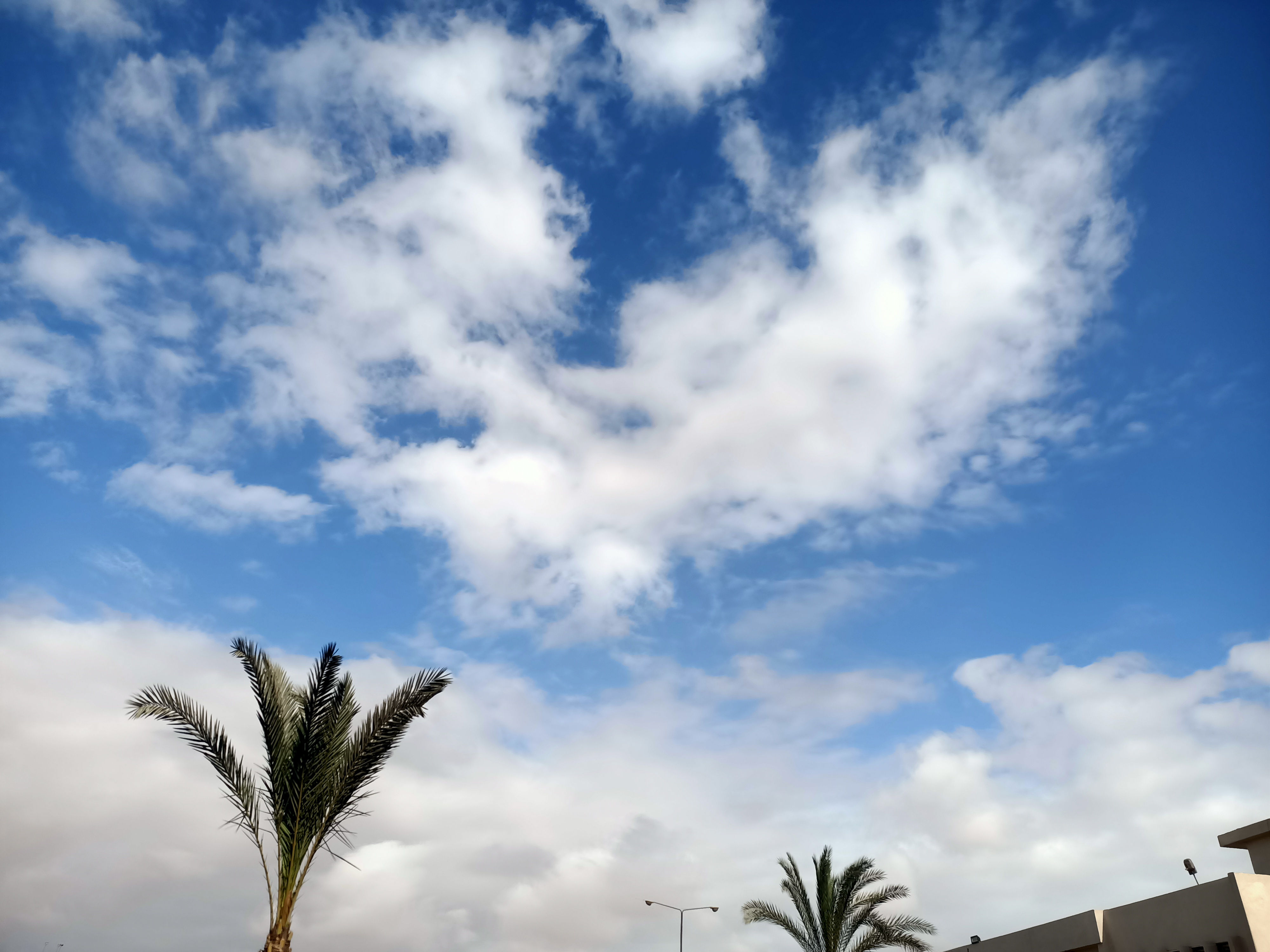 طقس معتدل على محافظة المنوفية طقس معتدل على محافظة المنوفية