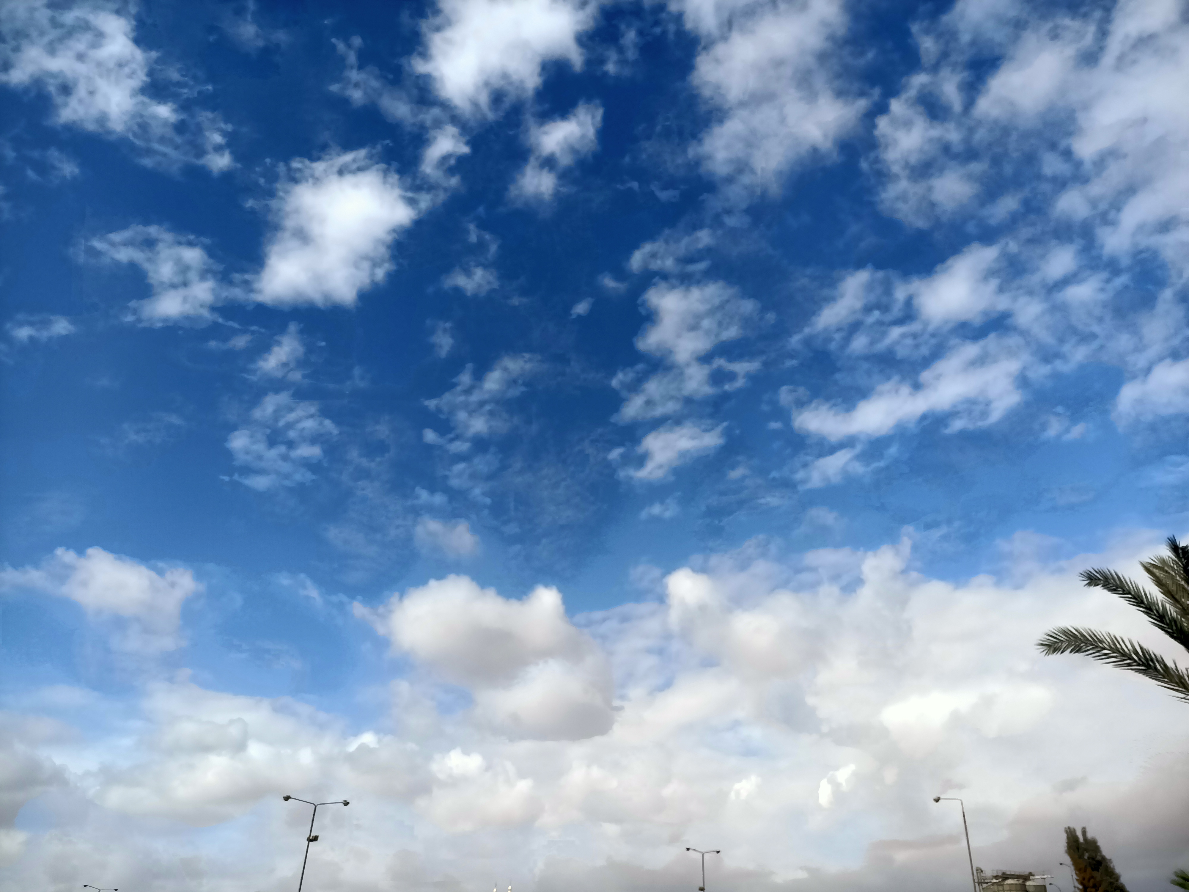 شمس ساطعة فى سماء محافظة المنوفية شمس ساطعة فى سماء محافظة المنوفية