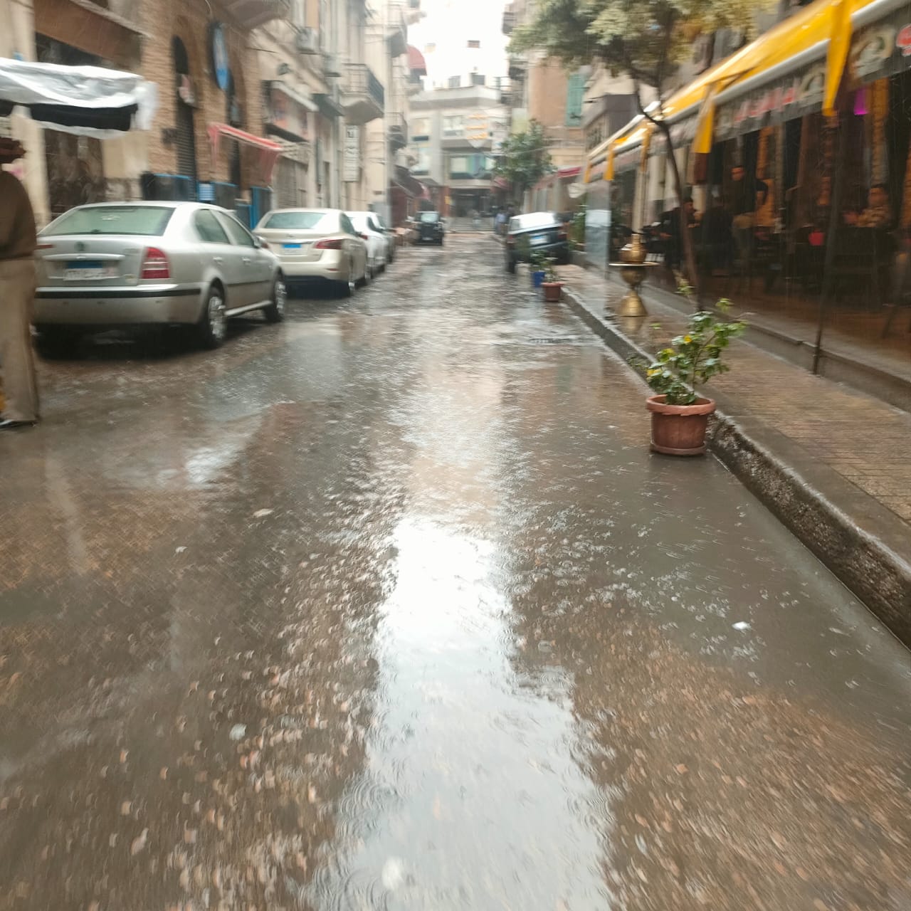 امطار  غزيرة  على  الإسكندرية