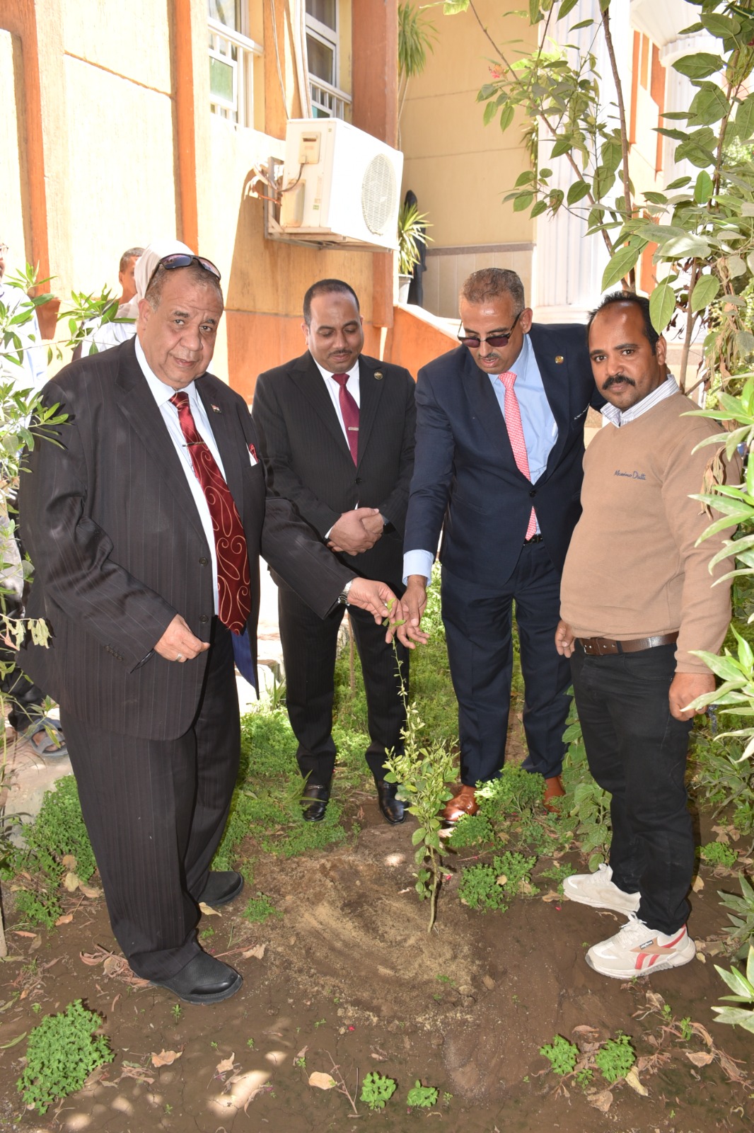 زراعة 1000 شجرة مثمرة لإستخدامها في تشجير الكليات بالأقصر