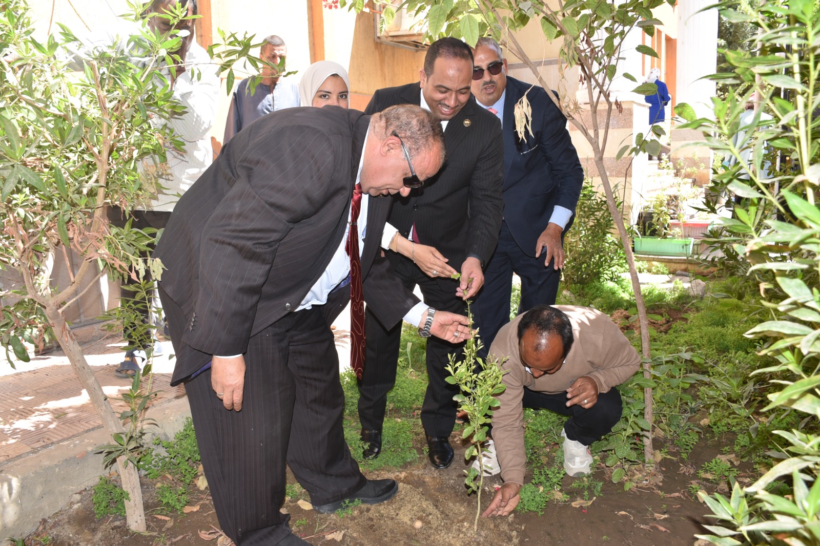 رئيس جامعة الأقصر يشارك فى زراعة الأشجار المثمرة