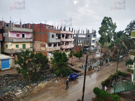 جانب-من-الأمطار-(3)