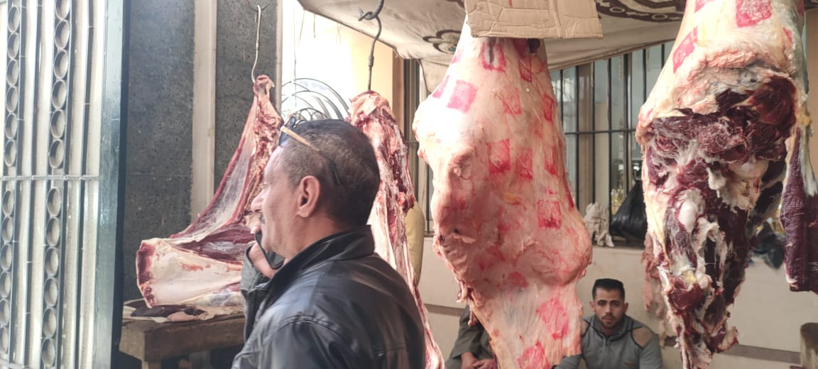 جانب من المعرض (11)