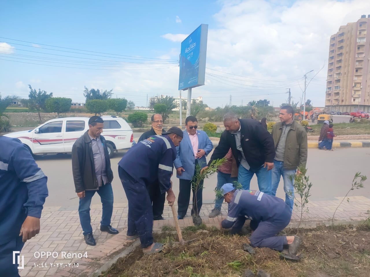 زراعة الاشجار المثمرة بميادين كفر الشيخ زراعة الاشجار المثمرة بميادين كفر الشيخ